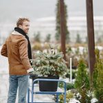 Îngrijirea părului bărbătesc în funcție de anotimp